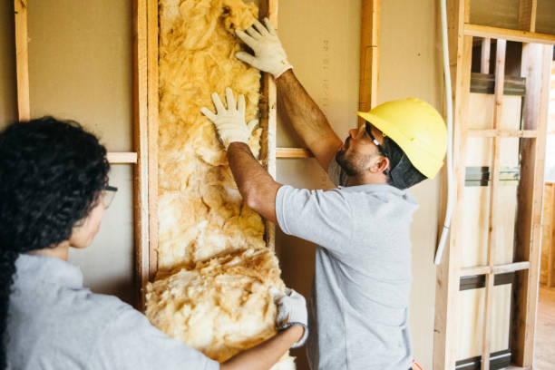 Best Attic Insulation Installation  in Montrose, NY