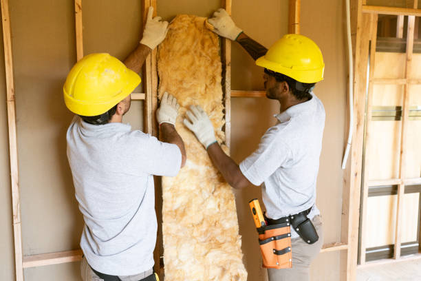 Best Home Insulation Services  in Montrose, NY